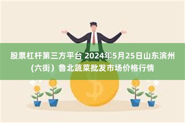 股票杠杆第三方平台 2024年5月25日山东滨州(六街）鲁北蔬菜批发市场价格行情