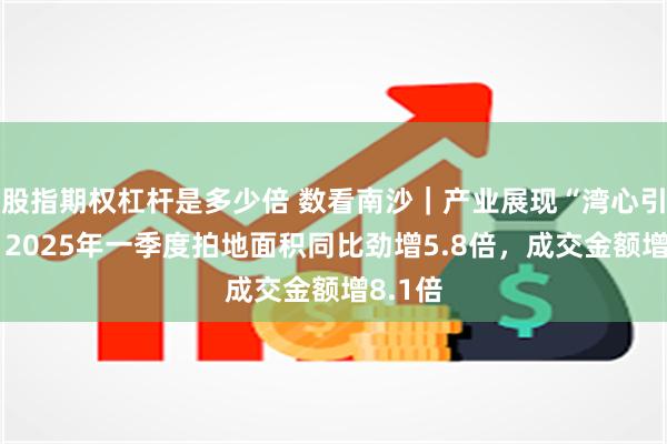 股指期权杠杆是多少倍 数看南沙｜产业展现“湾心引力”：2025年一季度拍地面积同比劲增5.8倍，成交金额增8.1倍