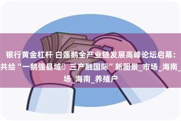 银行黄金杠杆 白莲鹅全产业链发展高峰论坛启幕：政研企共绘“一鹅强县域・三产融国际”新图景_市场_海南_养殖户