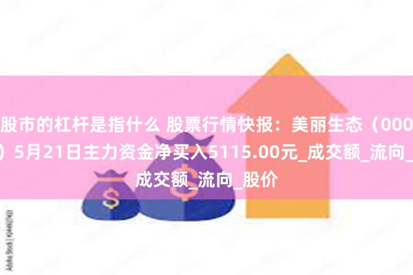 股市的杠杆是指什么 股票行情快报：美丽生态（000010）5月21日主力资金净买入5115.00元_成交额_流向_股价