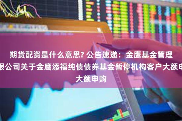 期货配资是什么意思? 公告速递：金鹰基金管理有限公司关于金鹰添福纯债债券基金暂停机构客户大额申购