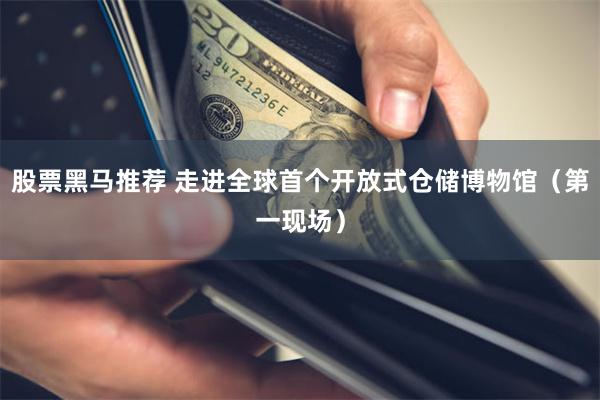 股票黑马推荐 走进全球首个开放式仓储博物馆（第一现场）