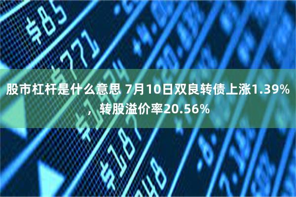 股市杠杆是什么意思 7月10日双良转债上涨1.39%，转股溢价率20.56%