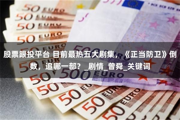 股票跟投平台 目前最热五大剧集，《正当防卫》倒数，追哪一部？_剧情_曾舜_关键词