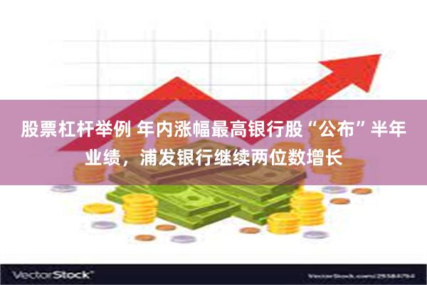 股票杠杆举例 年内涨幅最高银行股“公布”半年业绩，浦发银行继续两位数增长