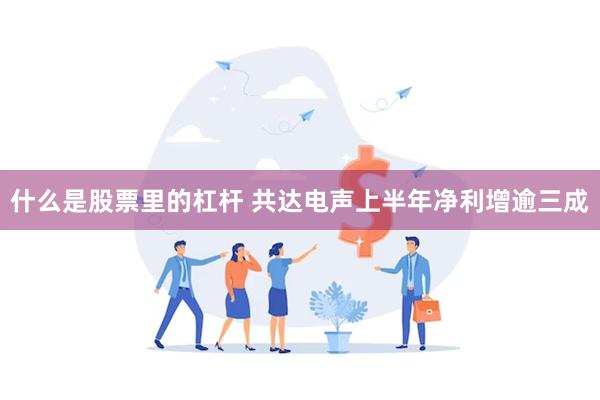 什么是股票里的杠杆 共达电声上半年净利增逾三成